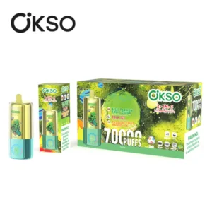EU Vape OKSO 70000 Puffs 70k 3 en 1 Vape Jetable Vente en Gros Livraison Gratuite