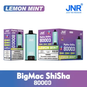 JNR 80K Puffs 80000 Big Mac Shisha DTL Vape Jetable Vente en Gros Livraison Gratuite