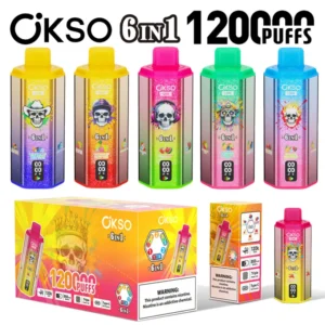OKSO 120K Puffs 6 In 1 Best Disposable Vape Shop 120000 Livraison Gratuite