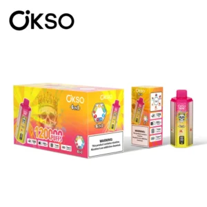 OKSO 120K Puffs 6 In 1 Best Disposable Vape Shop 120000 Livraison Gratuite