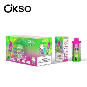 OKSO 120K Puffs 6 In 1 Best Disposable Vape Shop 120000 Livraison Gratuite