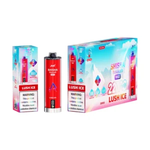 Puff EU JNR 22k Bouffées 22000 Crystal Stylo Vape Jetable Shisha Hookah Max Livraison Gratuite