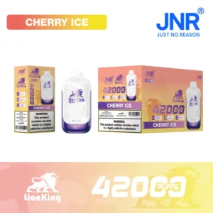 Puff JNR 42K Lion King 42000 Puffs Stylo Vape Jetable Livraison Gratuite
