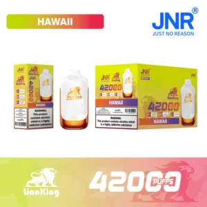 Puff JNR 42K Lion King 42000 Puffs Stylo Vape Jetable Livraison Gratuite