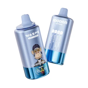 WASPE 100000 Bouffées AIVIOU Vape Jetable 4 en 1 Livraison Gratuite Entrepôt UE