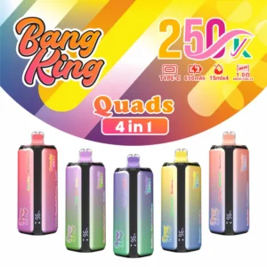 Bang King 250k Bouffées 4 en 1 Quads Vape Jetable 250000 Livraison Gratuite Entrepôt Chine