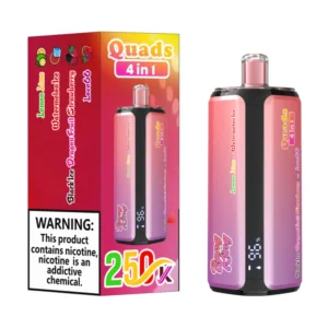 Bang King 250k Bouffées 4 en 1 Quads Vape Jetable 250000 Livraison Gratuite Entrepôt Chine