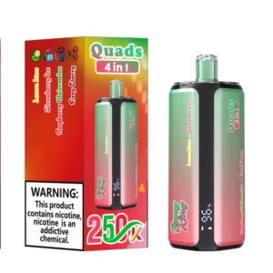 Bang King 250k Bouffées 4 en 1 Quads Vape Jetable 250000 Livraison Gratuite Entrepôt Chine