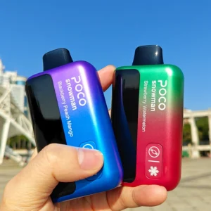 POCO 70000 Bouffées 70k Snowman Ice Control Vape Jetable Livraison Gratuite Entrepôt UE