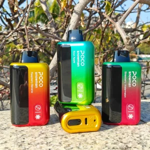 POCO 70000 Bouffées 70k Snowman Ice Control Vape Jetable Livraison Gratuite Entrepôt UE