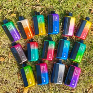 POCO 70000 Bouffées 70k Snowman Ice Control Vape Jetable Livraison Gratuite Entrepôt UE