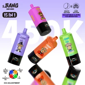 Bang Leader 450K Puffs 15 En 1 Cigarette Électronique Jetable Multi Saveurs Livraison Gratuite