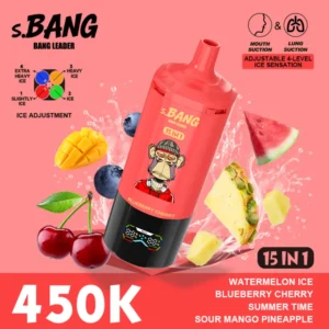 Bang Leader 450K Puffs 15 En 1 Cigarette Électronique Jetable Multi Saveurs Livraison Gratuite