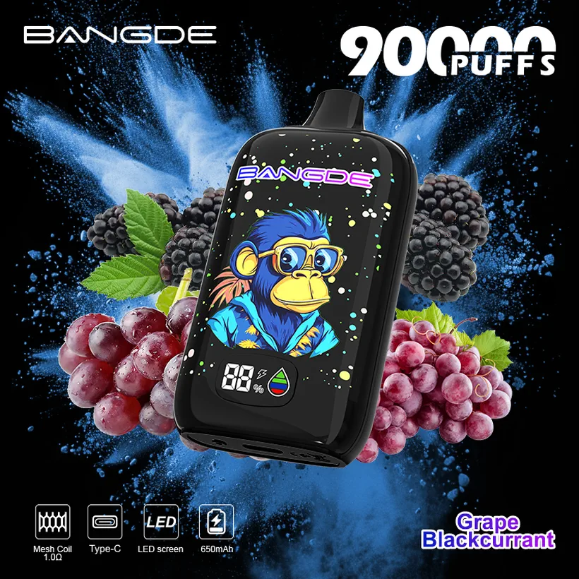 Bang DE 90000 Bouffées Vape Jetable 90K Vente En Gros De E Liquide